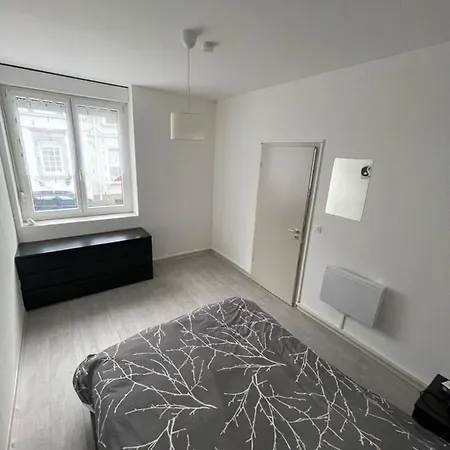 Apartamento Superbe Renove Au Centre De Forbach