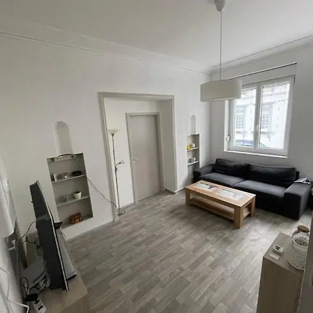 Superbe Rénové Au Centre De Forbach