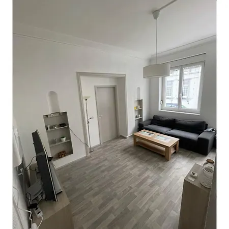 Superbe Rénové Au Centre De Appartement Forbach