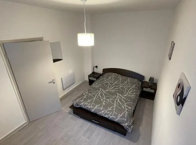 Superbe Rénové Au Centre De * Forbach